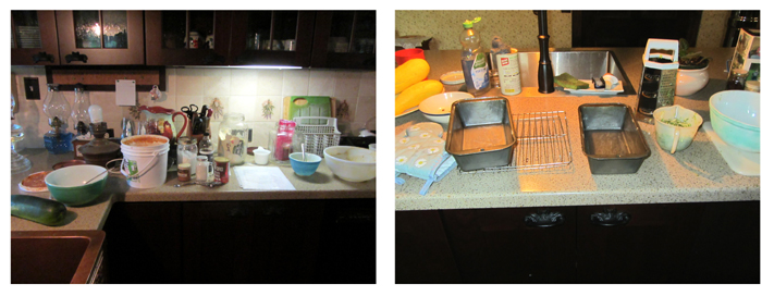 Trashed kitchen collage crop July 2025.jpg