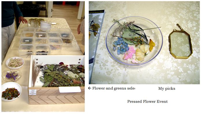 Pressed flower event collage1 text crop Nov 2025.jpg