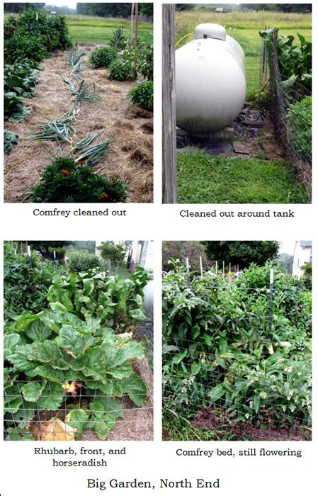 Big garden - final cleaned out collage2 text crop August 2025.jpg