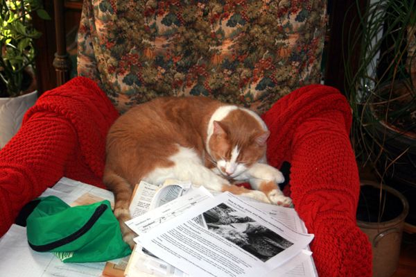 Larry in his chair crop Dec. 2023.jpg