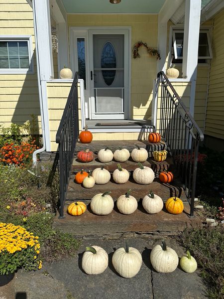 White pumpkin harvest2 crop Sept 2025.jpg