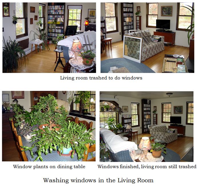 Living room washing windows collage text crop Oct 2025.jpg