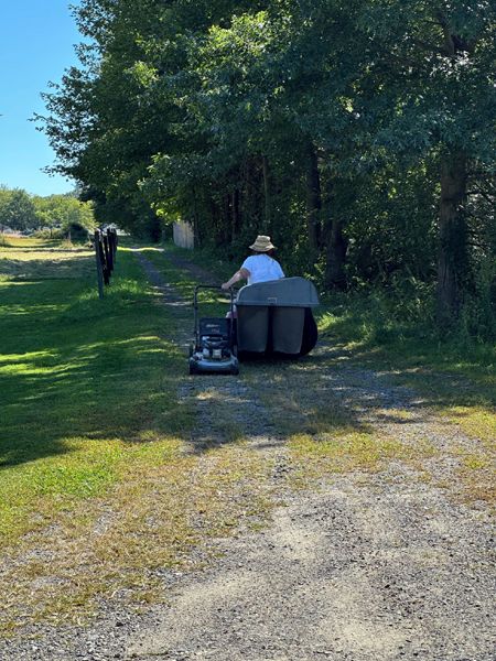 Pam heading to barn on mower crop August 2025.jpg