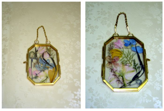 Pressed flower event collage2 crop Nov 2025.jpg