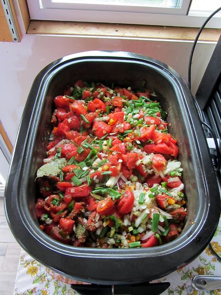 Spaghetti sauce - 2nd round crop Sept 2025.jpg