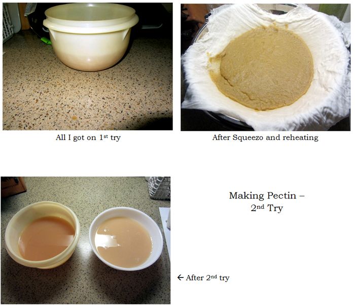 Pectin - 2nd try collage text crop August 2025.jpg