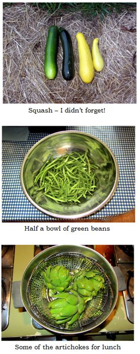 Harvest collage text crop August 2025.jpg