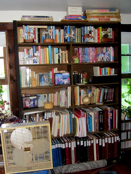 Big bookshelf knicknacks back crop July 2025.jpg