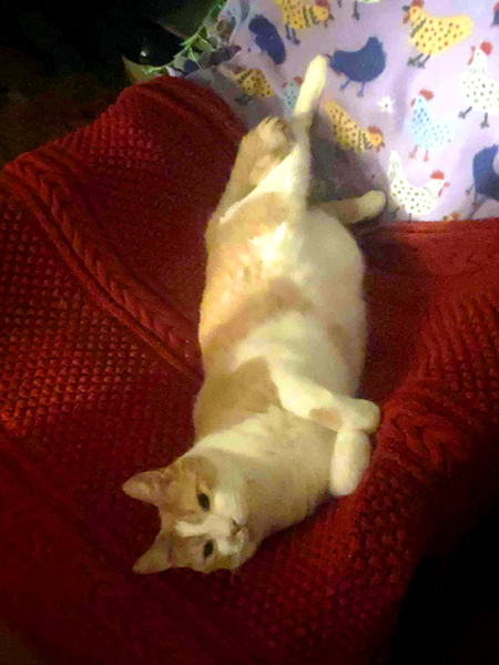 Larry with fire going crop Oct 2025.jpg