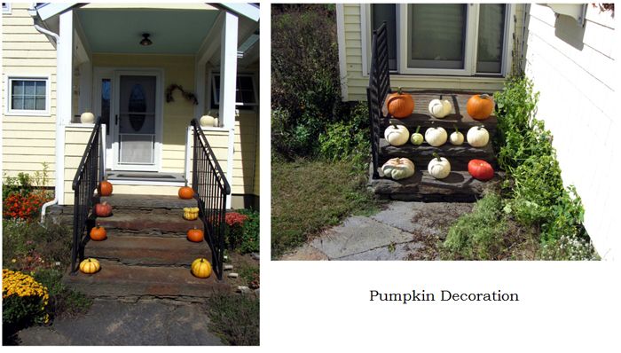 Pumpkin decoration collage text crop Sept 2025.jpg