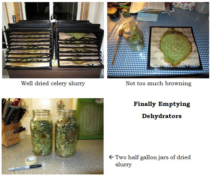 Celery - emptying dehydrators collage text crop Oct 2024.jpg