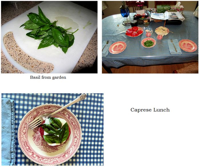 Lunch - Caprese collage text crop August 2025.jpg