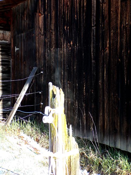 Fence post steaming in sun crop April 2024.jpg