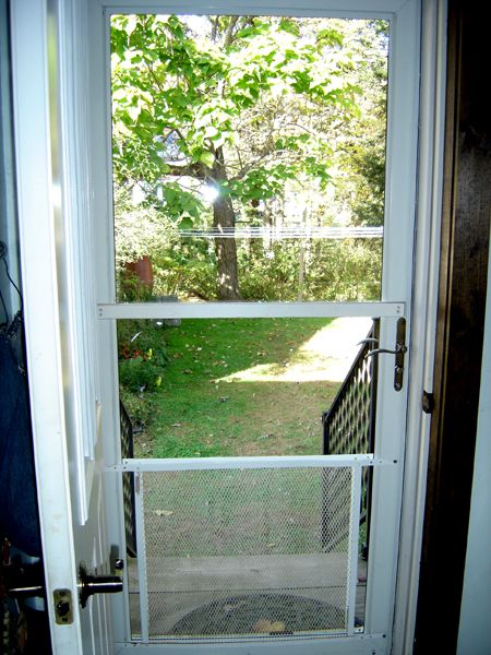 Back door - storm on crop Oct 2025.jpg