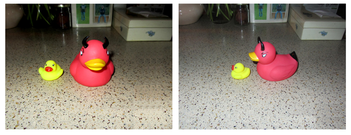 Rubber duckies collage crop May 2025.jpg