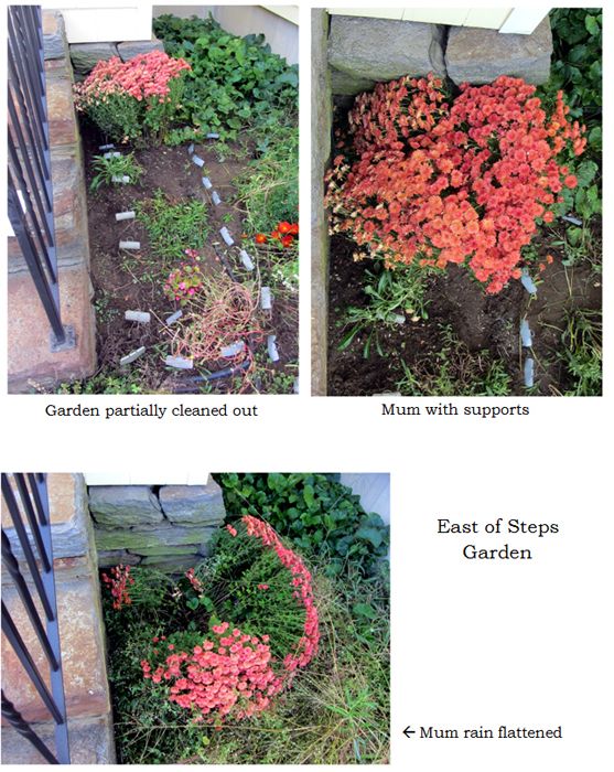 East of Steps - mum collage text crop Sept 2025.jpg