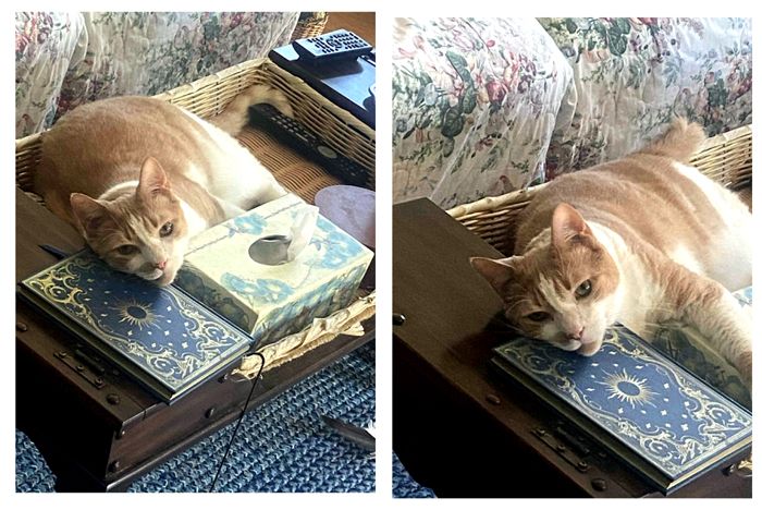 Larry on coffeetable collage crop Sept 2025.jpg
