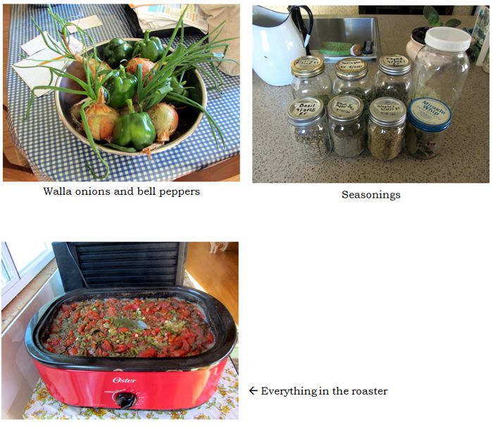 Spaghetti sauce -  collage text crop Sept 2025.jpg