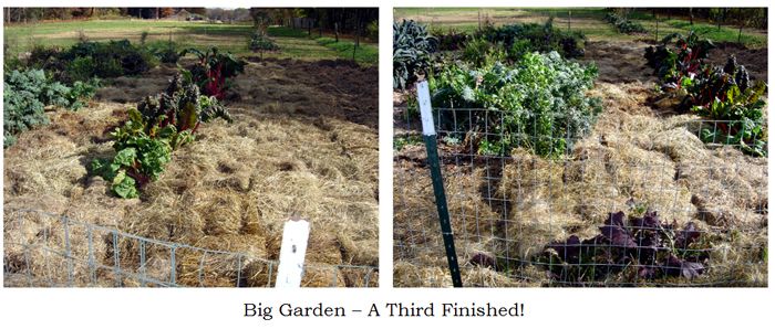 Big garden - 1-3 finished collage text crop Oct 2025.jpg