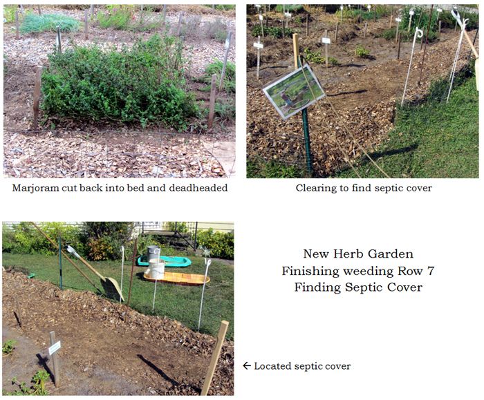 New Herb - clearing for septic collage text crop Sept 2025.jpg
