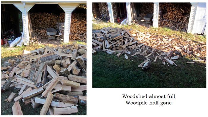 Wood collage text crop Sept 2025.jpg
