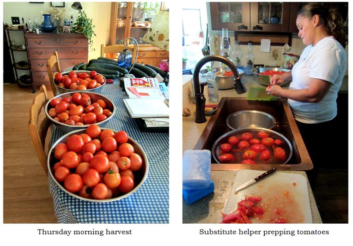 Spaghetti sauce -  tomatoes collage text crop Sept 2025.jpg