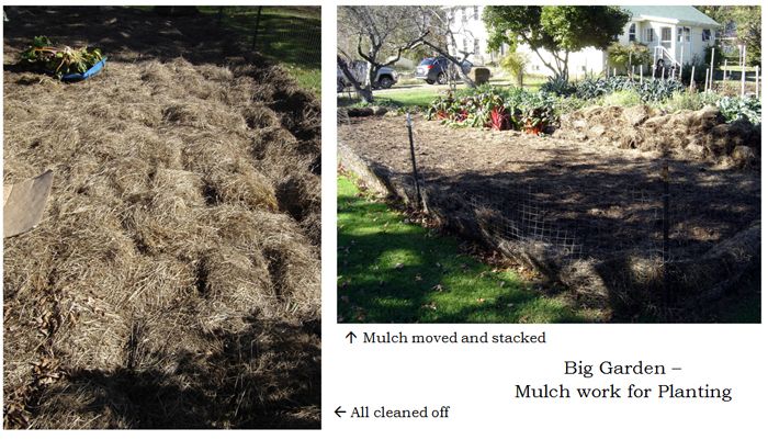 Big garden - mulched work collage text crop Oct 2025.jpg