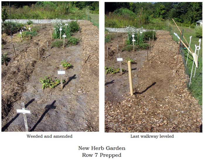 New Herb - Row 7 prepped collage text crop Sept 2025.jpg