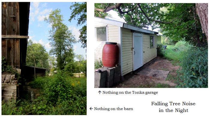 No tree on roof collage text crop August 2025.jpg