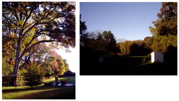 Early morning color collage crop Oct 2025.jpg