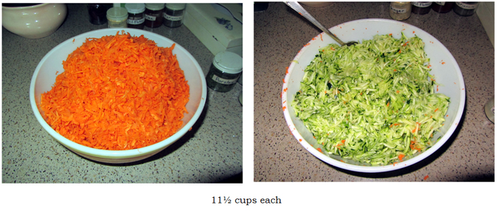Fritters - carrots and zucchini collage text crop August 2025.jpg