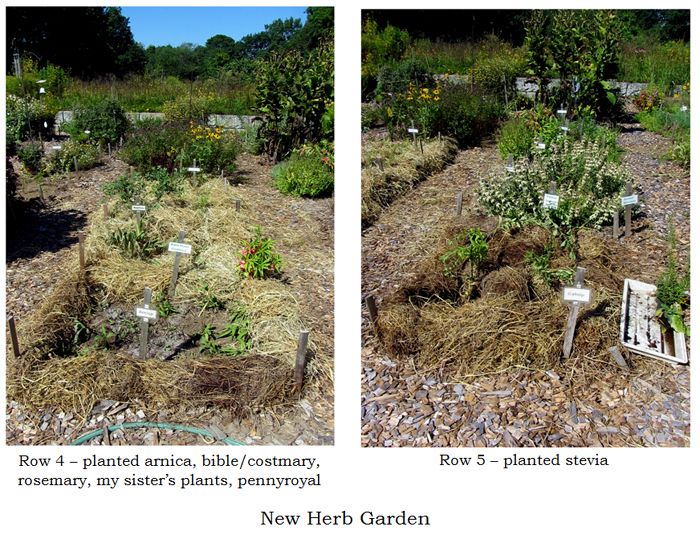 New Herb - Row 4 and 5 collage text crop August 2025.jpg