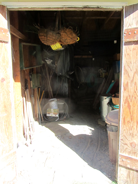 Garden shed cleaned out crop Oct 2025.jpg