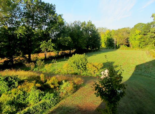 Late summer morning crop Sept 2025.jpg