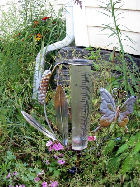 Rain - 1.5 in crop August 2025.jpg