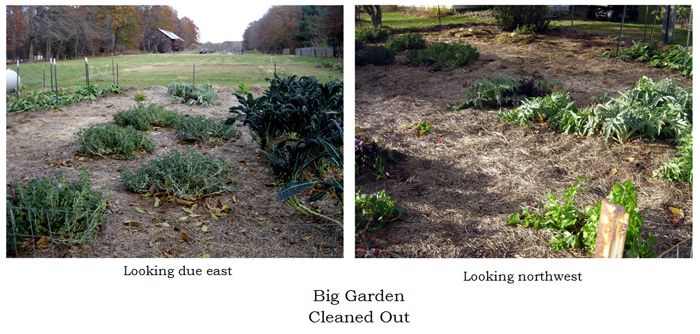 Big garden - cleaned out collage2 text crop Nov 2025.jpg