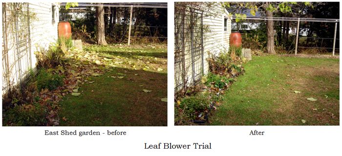 Leaf blower trial text crop Nov 2025.jpg