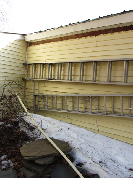 Siding off back of shed crop March 2025.jpg
