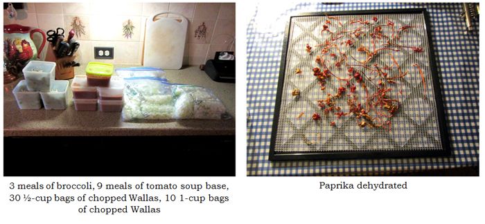 Thursday's production collage text crop Sept 2025.jpg