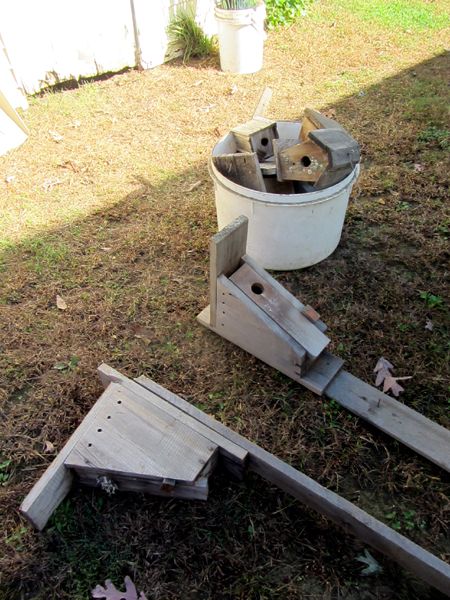 Birdhouses crop Oct 2025.jpg