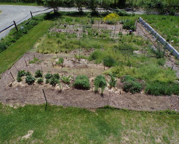 New Herb - walkway work crop May 2022.jpg