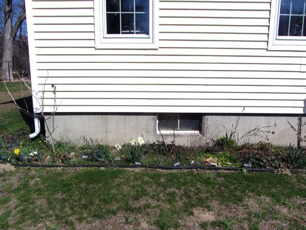 West - before4 crop April 2025.jpg