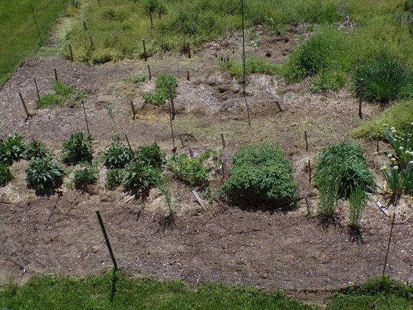 New Herb - walkway work close-up crop May 2022.jpg