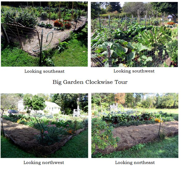 Big garden - tour collage text crop Sept 2025.jpg