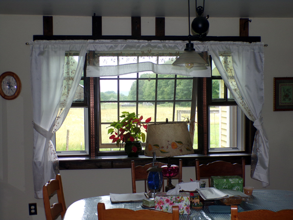 Dining room window - screens in crop June 2024.jpg