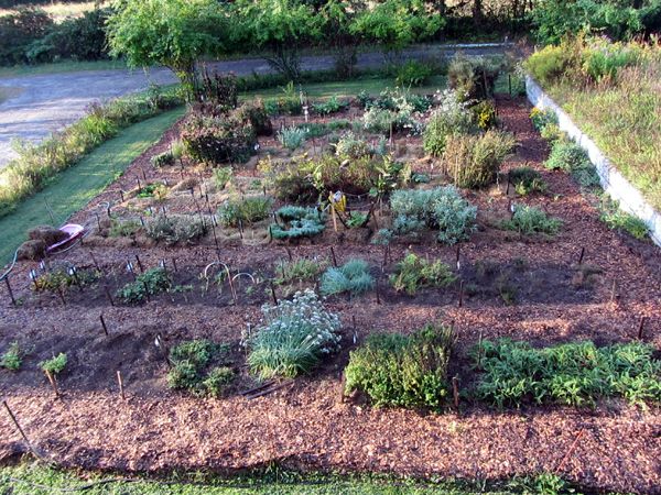 New Herb crop Sept 2025.jpg