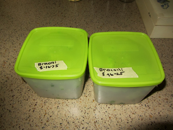 Brocolli - 2 meals crop August 2025.jpg