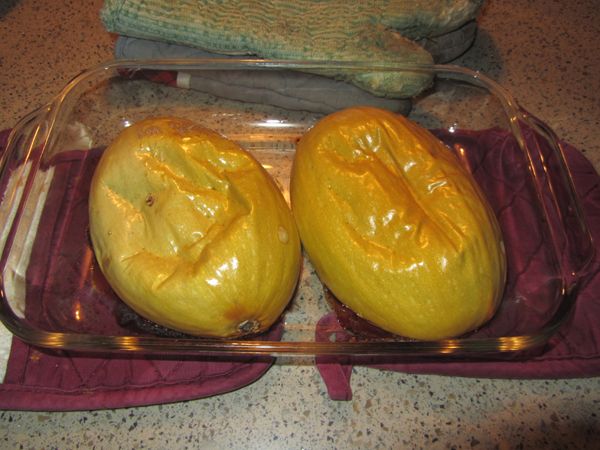 Baked spaghetti squash crop Nov 2024.jpg