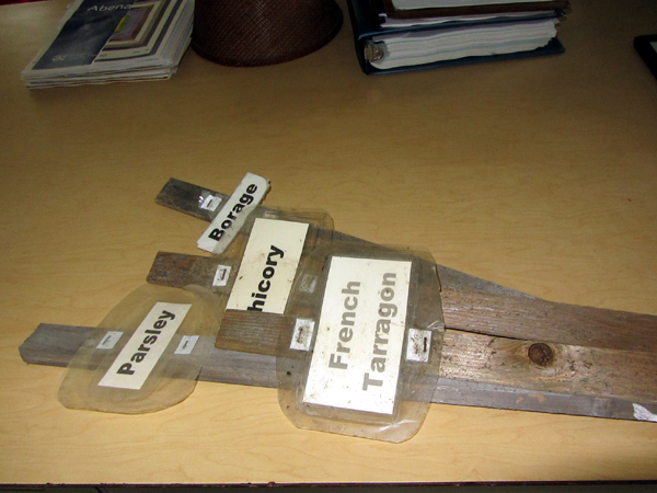 Plant labels need repair crop July 2025.jpg