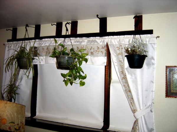 Maria's hanging plants crop Oct 2025.jpg